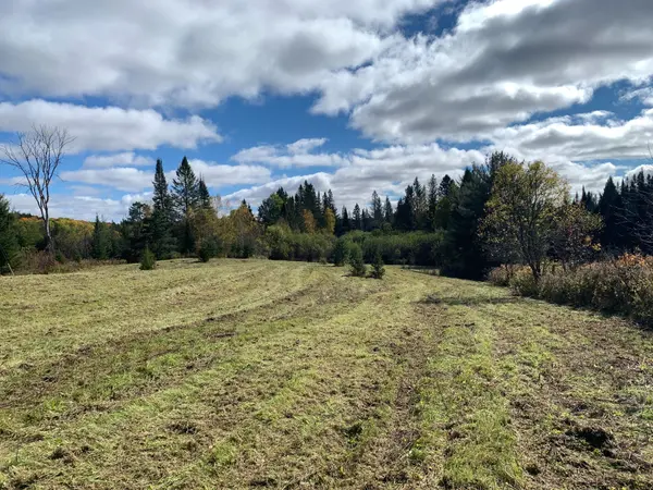 101 Proudfoot RD, Armour, ON P0A 1Z0