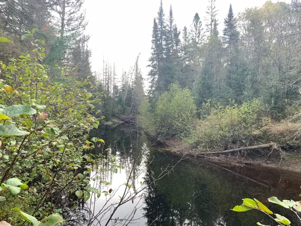 101 Proudfoot RD, Armour, ON P0A 1Z0