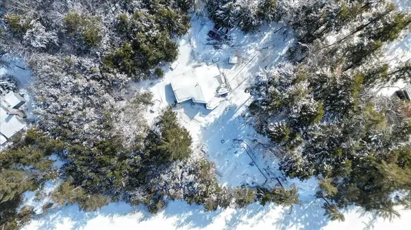 98 Merganser LN, North Kawartha, ON K0L 1A0