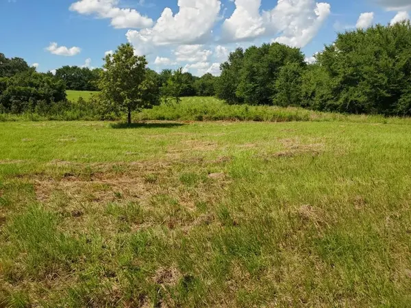 Lot 2 Rains CR1140 Road, Emory, TX 75440