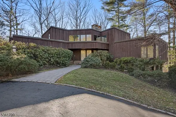 115 Hill Hollow Rd, Watchung Boro, NJ 07069