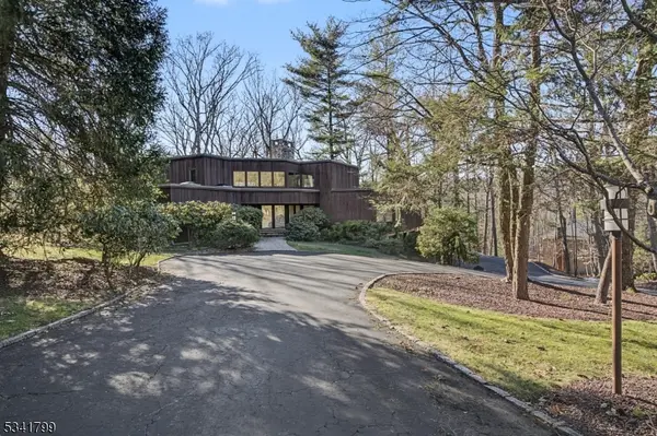115 Hill Hollow Rd, Watchung Boro, NJ 07069