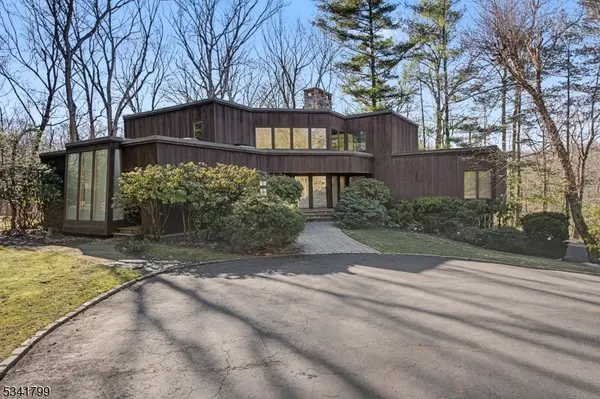 115 Hill Hollow Rd, Watchung Boro, NJ 07069