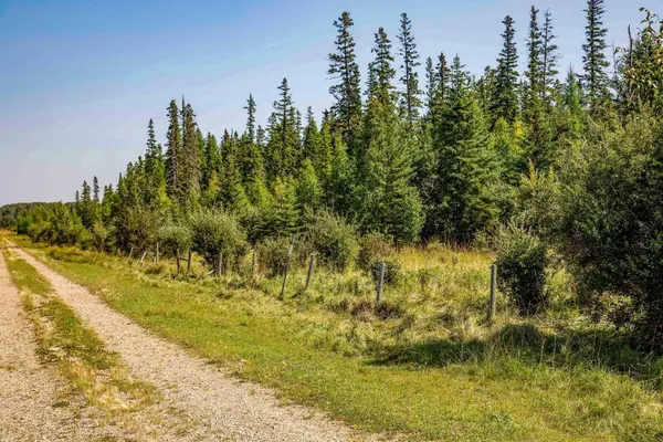 On Range Road 33, Rural Red Deer County, AB T0M 0X0