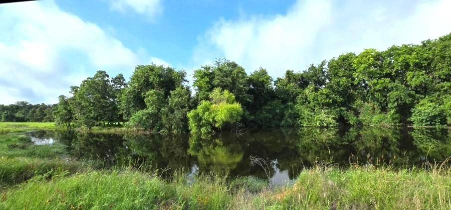 TBD George Wachel Rd. Road, Bremond, TX 76629