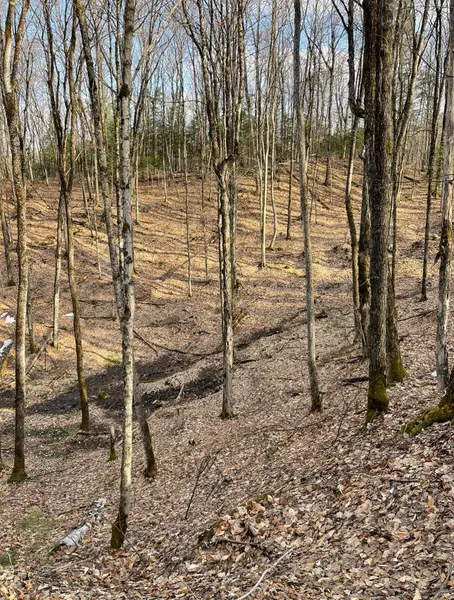 0 Rallison LN, Faraday, ON K0L 2L0