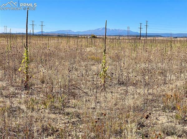 Parcel 2 County Road 98, Elbert, CO 80106