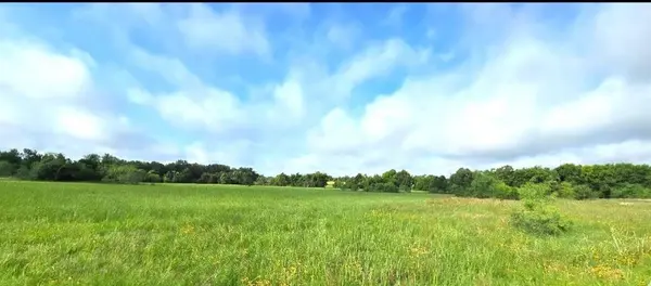 TBD George Wachel Rd. Road, Bremond, TX 76629