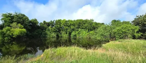 TBD George Wachel Rd. Road, Bremond, TX 76629