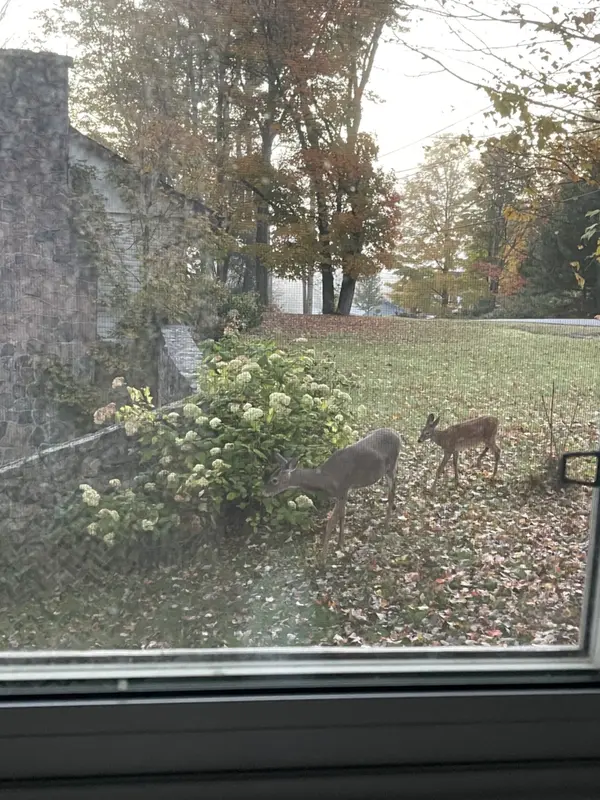 12 Forest Hill RD, Bancroft, ON K0L 1C0