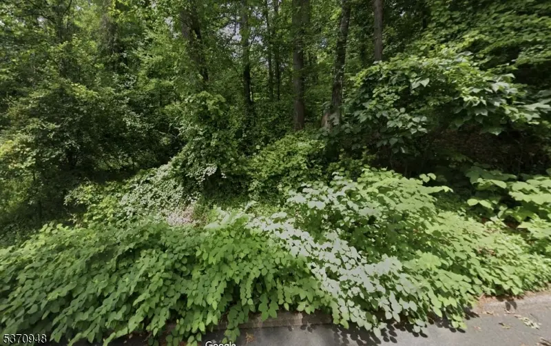 423 Summit Rd, Mountainside Boro, NJ 07092