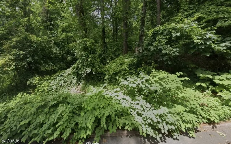 427 Summit Rd, Mountainside Boro, NJ 07092