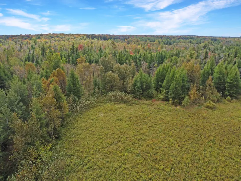 1125XX GREY ROAD 14 RD, Southgate, ON N0C 1B0