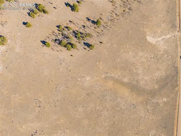 11414 Ranch RD, Hartsel, CO 80449