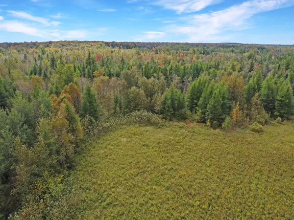 1125XX GREY ROAD 14 RD, Southgate, ON N0C 1B0