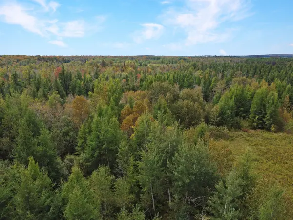 1125XX GREY ROAD 14 RD, Southgate, ON N0C 1B0