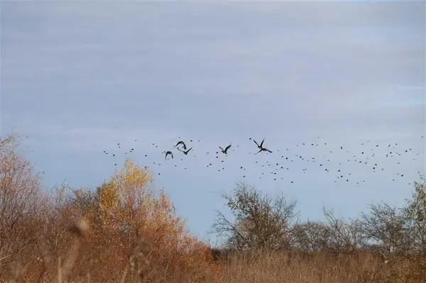 TBD S FM148 Street, Crandall, TX 75114