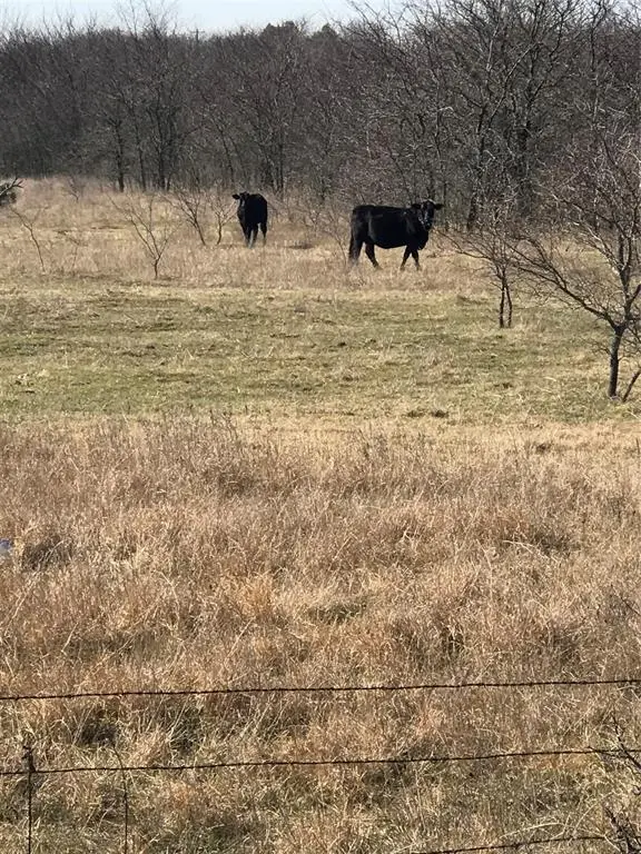 TBD 3.177 Acres Winn Road, Collinsville, TX 76273