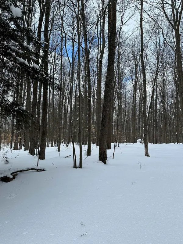 2392 SW Inman RD, Boardman Twp, MI 49680