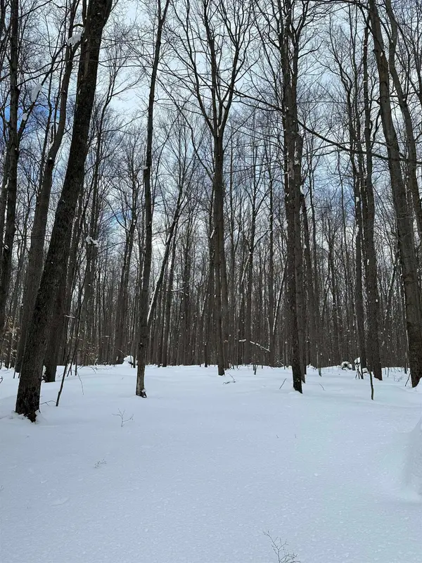 2392 SW Inman RD, Boardman Twp, MI 49680