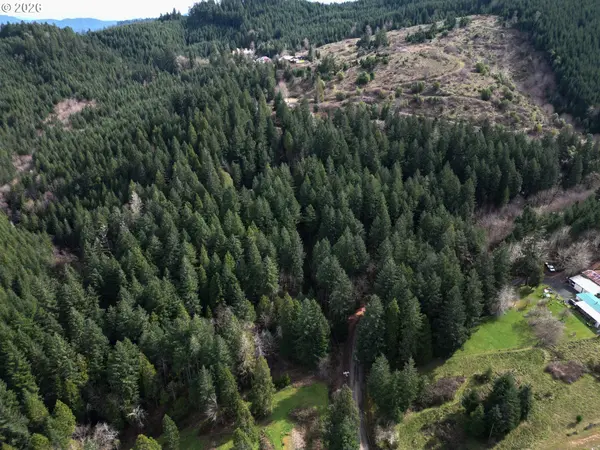 LAUREL HILL DR, Drain, OR 97435