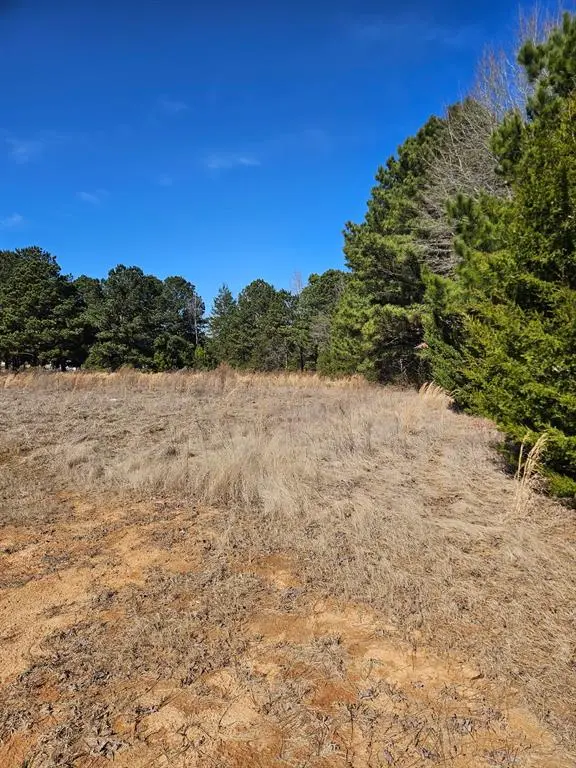 6 Jacklyn Lane, Diana, TX 75640