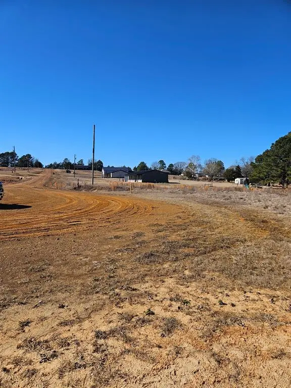 6 Jacklyn Lane, Diana, TX 75640