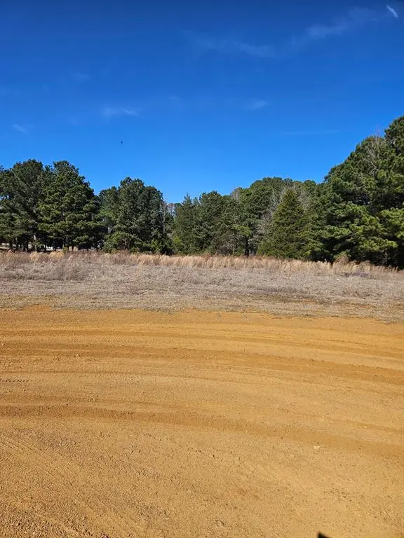 6 Jacklyn Lane, Diana, TX 75640