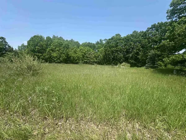 1035 Bonanza LN, Lake Isabella, MI 48893