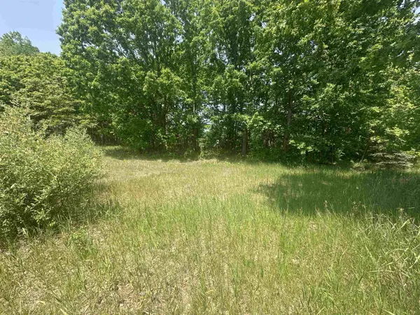 1035 Bonanza LN, Lake Isabella, MI 48893