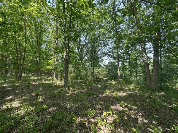 1035 Bonanza LN, Lake Isabella, MI 48893