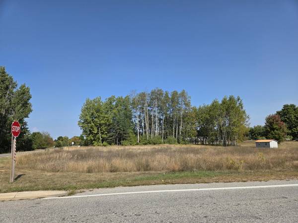 1001 El Camino Grande, Lake Isabella, MI 48893