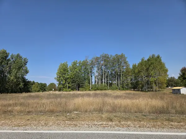 1001 El Camino Grande, Lake Isabella, MI 48893