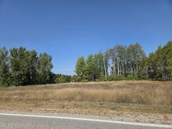 1001 El Camino Grande, Lake Isabella, MI 48893