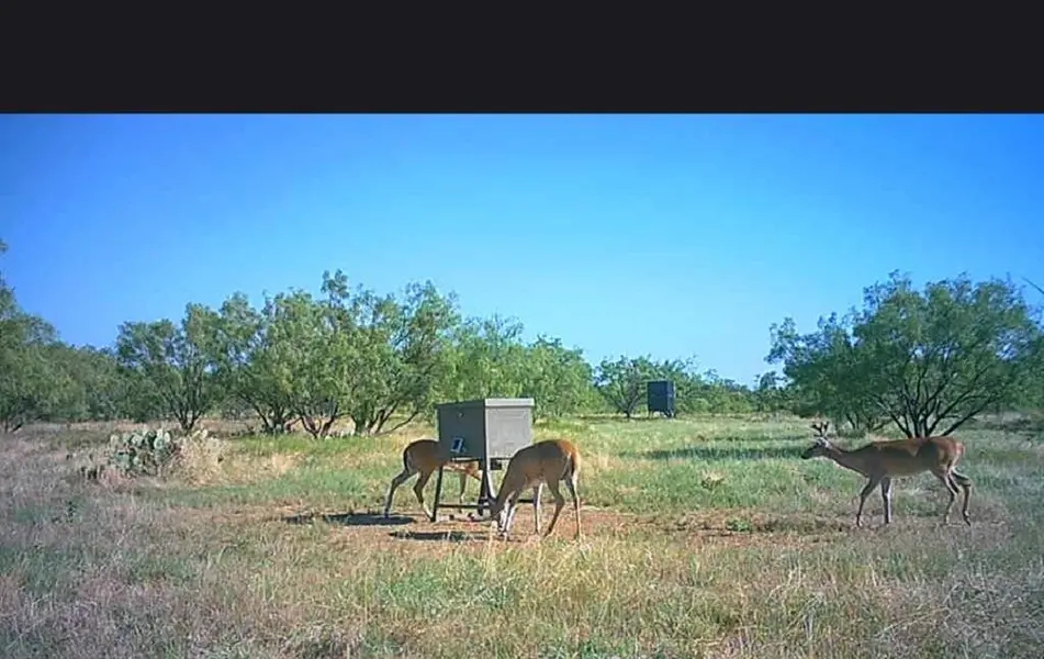 5860 County Road 423, Cisco, TX 76437