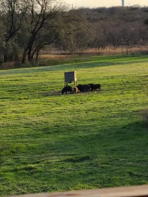 5860 County Road 423, Cisco, TX 76437