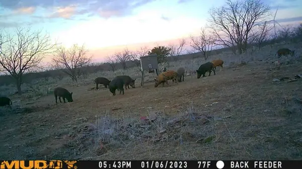 5860 County Road 423, Cisco, TX 76437