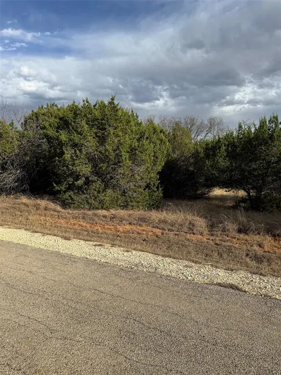 32039 Dove Trail, Whitney, TX 76692