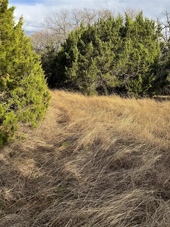 32039 Dove Trail, Whitney, TX 76692