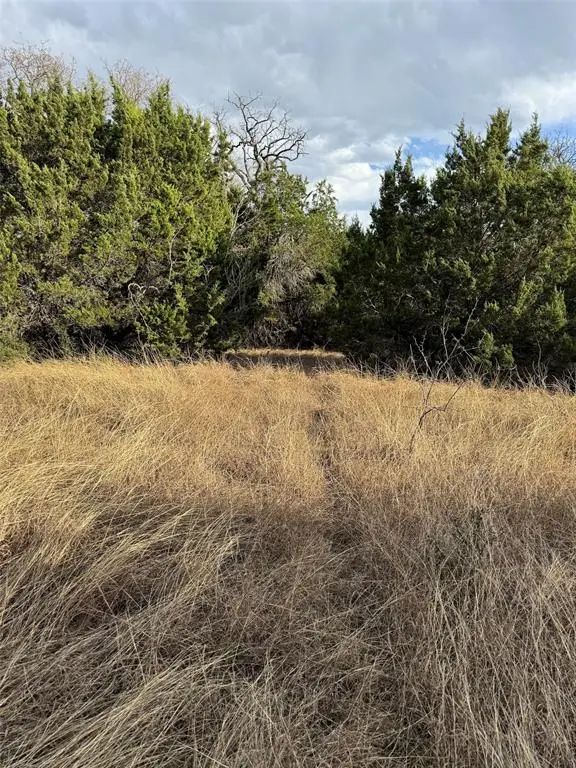 32039 Dove Trail, Whitney, TX 76692