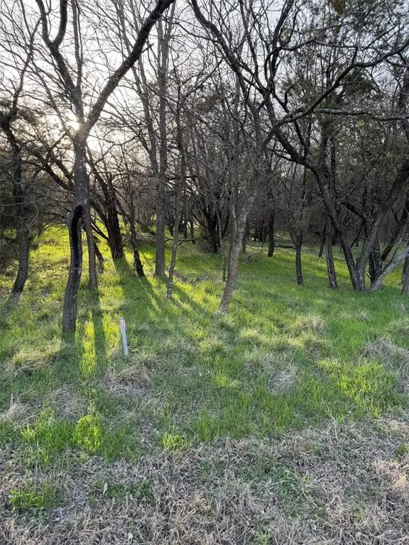 12147 Trailwood Drive, Whitney, TX 76692