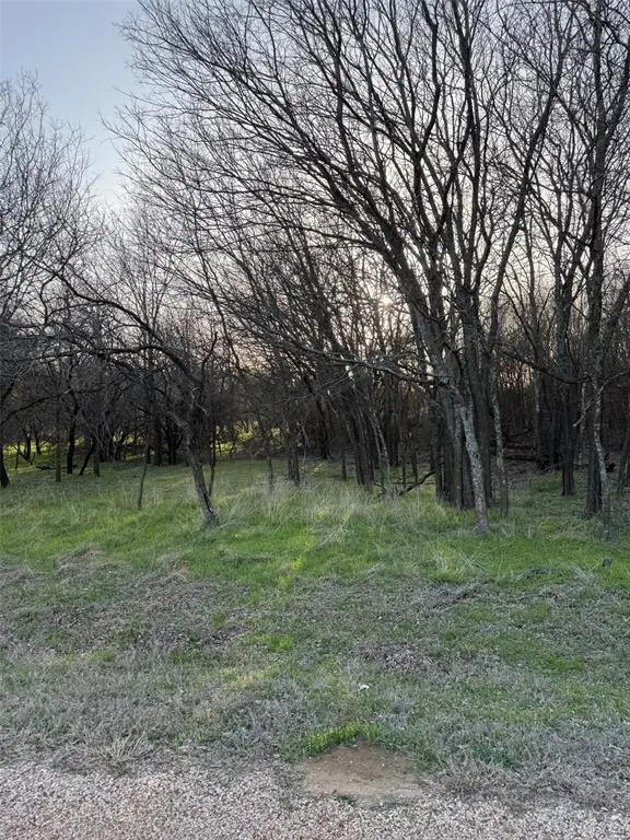 12147 Trailwood Drive, Whitney, TX 76692