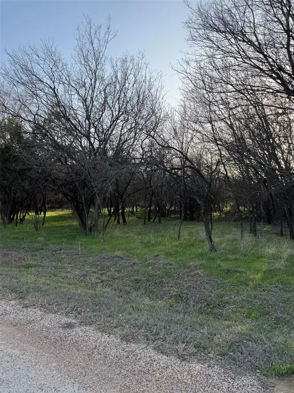 12147 Trailwood Drive, Whitney, TX 76692