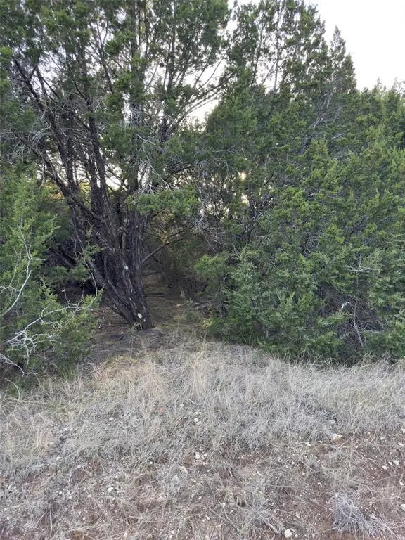 22295 Westmeadow Drive, Whitney, TX 76692