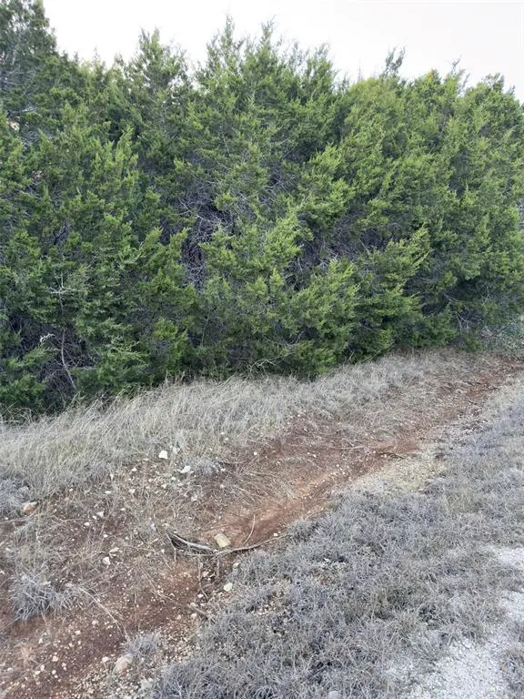 22295 Westmeadow Drive, Whitney, TX 76692