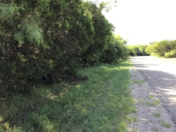 12117 Oak Dale Drive, Whitney, TX 76692