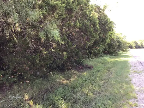 12117 Oak Dale Drive, Whitney, TX 76692