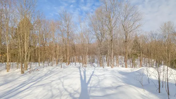 1100 Raymond RD, Muskoka Lakes, ON P0B 1M0