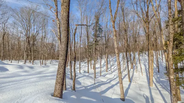 1100 Raymond RD, Muskoka Lakes, ON P0B 1M0