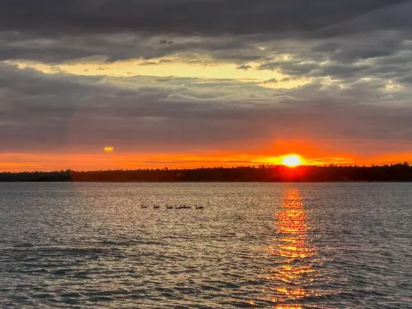 205 Eagle RD, Northern Bruce Peninsula, ON N0H 2R0